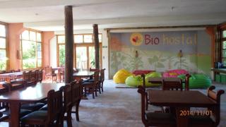 Biohostal Mindo Cloud Forest - Mindo - 4