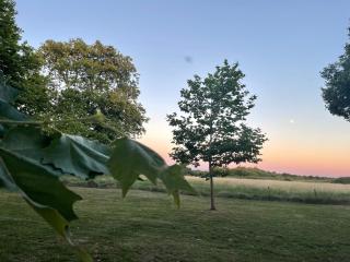 Château de Neyran chambre d'hôtes & Spa - 1
