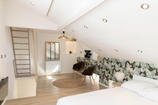 Magnifique Triplex avec Sauna Plein Centre Ville - Metz - 0