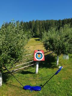 Pensiunea Daria Putna - 2