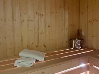 Family & Business Sauna Tężnia Apartments No 9 VIP -Leśny nad Zalewem Cedzyna, Unikat SPA- 1 Bedroom with Private Sauna, Jacuzzi, Spectacular View Terrace, Parking, Catering Options - Kielce - 8