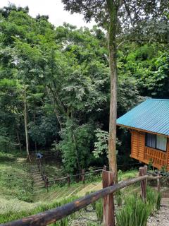Eco-Turismo Guayacanes - Sámara - 6