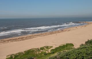 Albetros 904 - 1