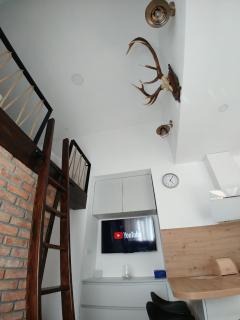 Studio apartman Ankica u starom dijelu grada - Karlovac - 9