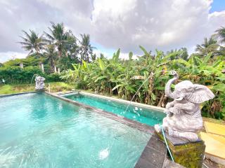 Ubud Rice Field House - Ubud - 5