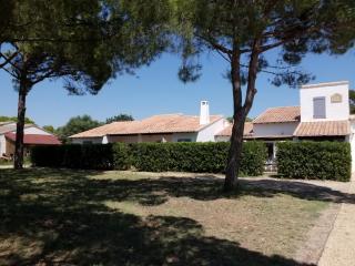Domaine du Soleil Couchant - Saintes-Maries-de-la-Mer - 8