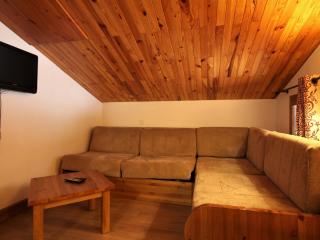 Appartement spacieux près du centre, balcon - FR-1-181-2443 - La Plagne Tarentaise - 9