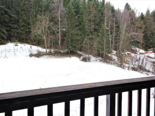 Appartement spacieux près du centre, balcon - FR-1-181-2443 - La Plagne Tarentaise - 1