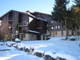 Studio à Montchavin, proche centre et pistes, vue vallée, TV, balcon - FR-1-181-2529 - La Plagne Tarentaise - 8