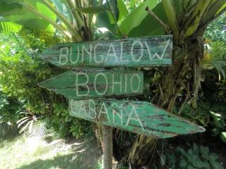 Dream Glamping Jungle Bohio - Las Terrenas - 1