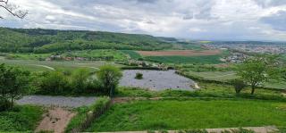 Sali Homes - GaesteHaus Lamm Obersulm - Obersulm - 2