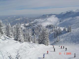 Bed and Breakfast Vila Lala - 8