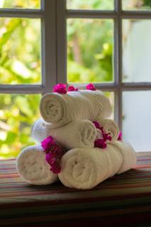 Fond Doux Eco Resort - 3