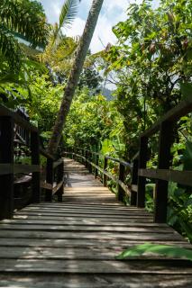 Fond Doux Eco Resort - Soufriere - 1