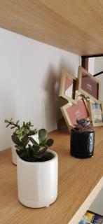 Les Appartements de la Nef d'Or - Studio Elégant et Lumineux - Saint-Quentin - 2