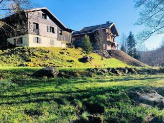 Chalet confortable, proche des pistes de ski, avec jardin, terrasses couvertes et Wi-Fi à La Bresse - FR-1-589-86 - La Bresse - 6