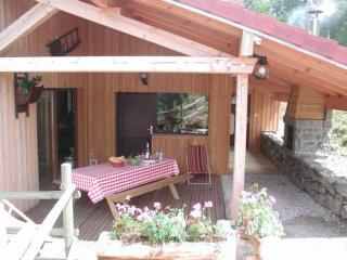 Chalet confortable, proche des pistes de ski, avec jardin, terrasses couvertes et Wi-Fi à La Bresse - FR-1-589-86 - La Bresse - 5