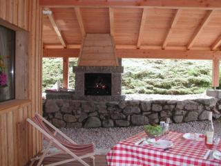 Chalet confortable, proche des pistes de ski, avec jardin, terrasses couvertes et Wi-Fi à La Bresse - FR-1-589-86 - La Bresse - 4