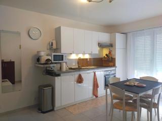 GREEN GARDEN cosy home WIFI - Nantes - 0