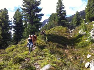 Adventure - Nauders - 0