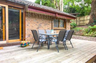 Cosy, central Olinda Camellia Cottage - 2