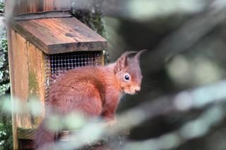The Brander Lodge Hotel and Bistro - Taynuilt - 1