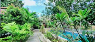 Sammy Homestay - Kuta - 7