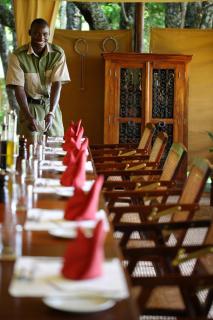 Elephant Pepper Camp - 2