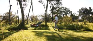 Elephant Pepper Camp - 4