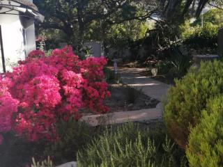 Beulah Lodge - Kapstadt - 8