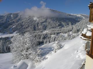Hotel Bergheimat - Mühlbach am Hochkönig - 4