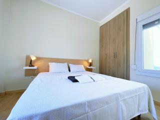 WSD Luxury Stylish 1BD Apt with City View Balcony - Atene - 4
