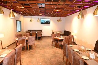 Sonnesta Grand - Chainpur - 7
