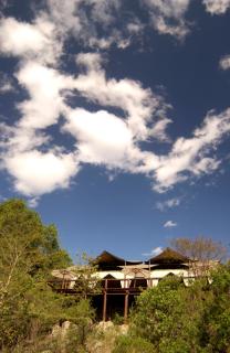 Serengeti Migration Camp - 8