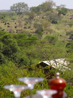 Serengeti Migration Camp - 7