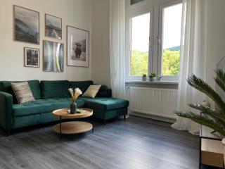 Direkter Moselblick I Altbau I 4 Personen I Terrasse - Sankt Aldegund - 1