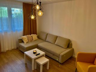 Alexander Cozy Apartment FREE PRIVATE PARKING - Mediaş - 4