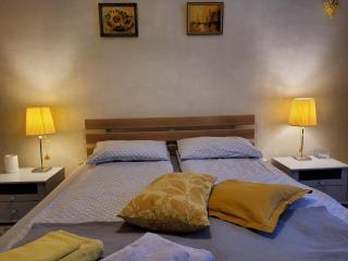 Sunflower Apartment near Kiev airport & railway station & center city! - Kiev - 8