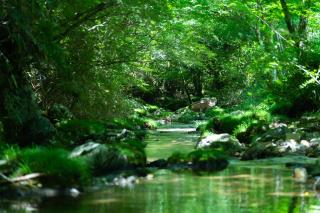 深山山荘 DENCHI - Uchiko - 1