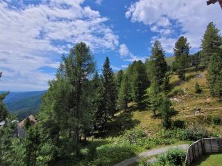 Bergheim Schmidt, Almhütten im Wald Appartments an der Piste Alpine Huts in Forrest Appartments near Slope - Turracher Höhe - 6