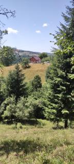 Cabana Cristalul din Apuseni - Ciuruleasa - 7