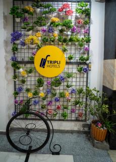 Tripli Hotels Arunoday Palace - Udaipur - 3