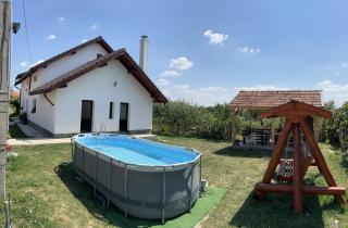 Pensiunea Alina - Baia de Fier - 9