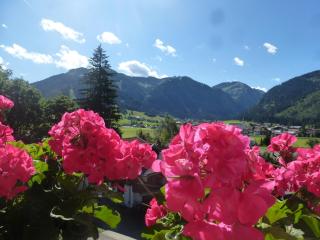 Apartment Austria - Tannheim - 6