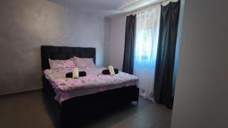 Como Apartments - Bajina Bašta - 6