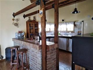 Brisas de viñedos - Lujan de Cuyo - 2