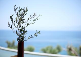 Akria Thea - Koroni - 2