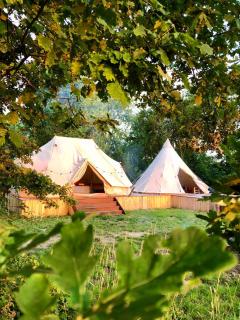 Cowcooning / Family tents - Huldenberg - 9
