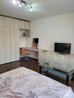 Peaceful Loft - Bucarest - 7