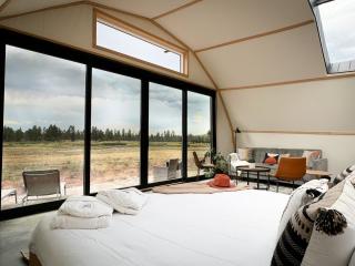 Backland - Williams - 6